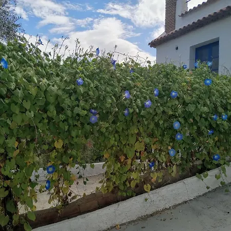 Cortijo Al Andalus Casa de Férias